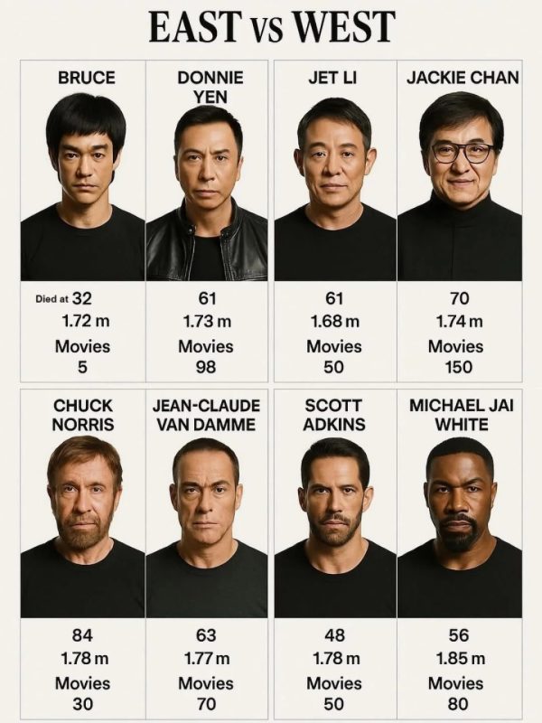 🎬东西方电影巨星身高作品大揭秘🎬-同恩资源分享网