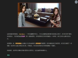 [HTML/浏览器汉化] 我的朋友 Friends of Mine V1.4 浏览器转中文 电脑 [2.5G]-同恩资源分享网