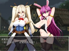 【RPG汉化】银乱的圣骑士HolyKnightBitch【+PC】完整汉化版+全CG【600M】【补档】-同恩资源分享网