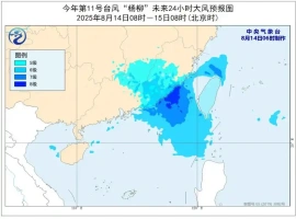 台风“杨柳”导致强降雨天气，使得部分区域遭受了严重的大暴雨甚至特大暴雨影响。-同恩资源分享网