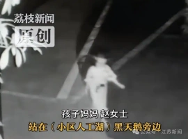 凌晨时分，一名5岁的小女孩在梦中迷失，当她被发现时，正孤独地站在湖畔。-同恩资源分享网