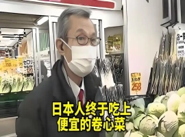中国原本运往美国的蔬菜出口产品，现已转向销往日本市场。-同恩资源分享网