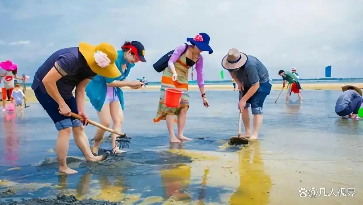 近日，位于日照的一处赶海园涉嫌投放人工饲养的蛤蜊。-同恩资源分享网
