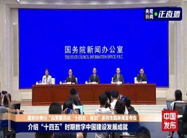 我国在数字化领域实现了显著进展！最新公布的“数字中国”年度报告备受关注！-同恩资源分享网
