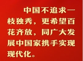 中国现代化之路选择了一条和平发展的路径。-同恩资源分享网